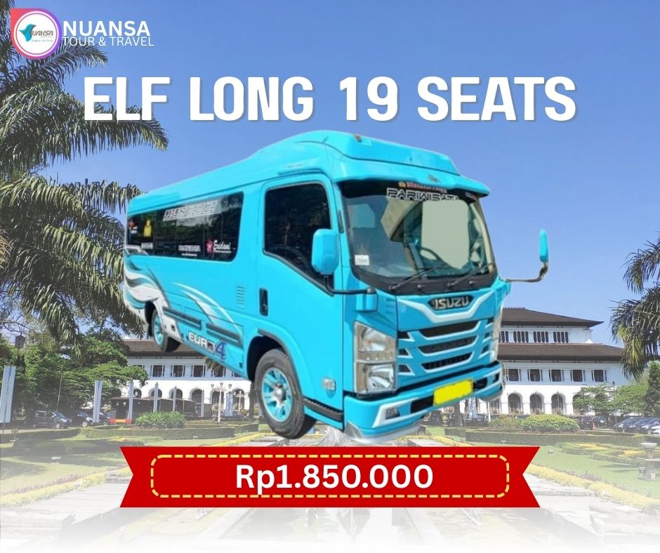 elf long 19 seats(1)